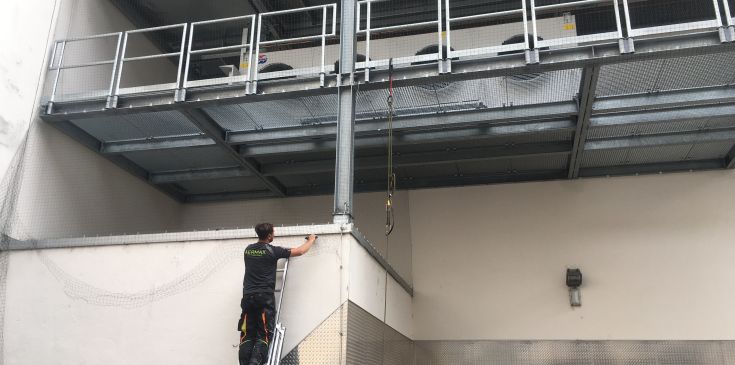 AERMAX Industriekletterer montiert auf Leiter die unteren Taubennetze an Wohnhausfassade